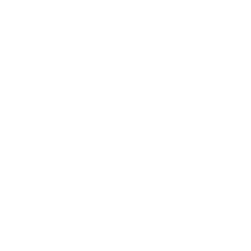 Swisspons cronometro
